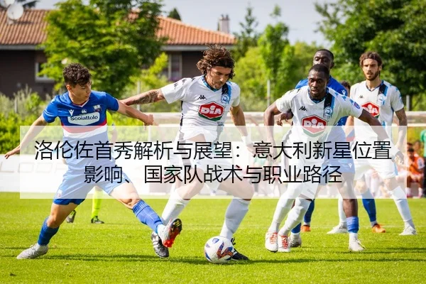 luo-lun-zuo-shou-xiu-jie-xi-yu-zhan-wang-yi-da-li-xin-xing-wei-zhi-ying-xiang-guo-jia-dui-zhan-shu-yu-zhi-ye-lu-jing-2-701.jpg